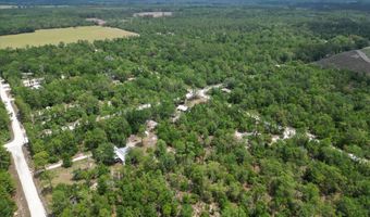 6489 11th Ave, Bell, FL 32619