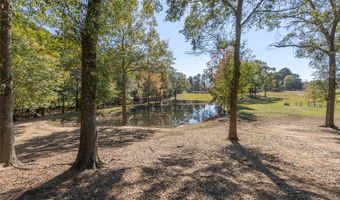 193 Pineland Meadows Rd, Belton, SC 29627