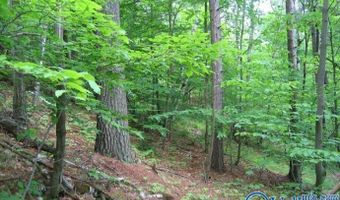 1 County Road 31, Ashland, AL 36251