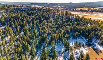 TBD Lot 11 Beaver Creek Ranch Drive, Bayfield, CO 81122