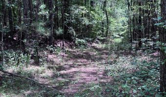 North Palestine Road, Baldwyn, MS 38824