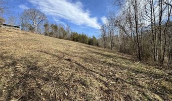 1135 Ned Clark Rd, Bean Station, TN 37708