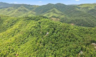 1188 Tobacco Branch Rd, Almond, NC 28702