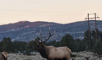 Lot 19 Buckskin Rd, Angel Fire, NM 87710