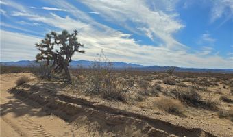 320 Acres W Brittlebush Dr, Yucca, AZ 86438