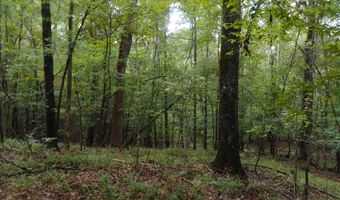 Anding Oil City Road, Bentonia, MS 39040