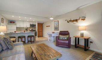 455 VILLAGE Rd 102, Breckenridge, CO 80424