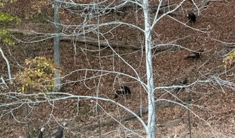 375 Middle Creek Rd, Afton, TN 37616