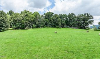 Chuckey Doak Road, Afton, TN 37616
