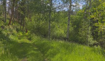 381 OLD CAMP Rd, Bellvue, CO 80512