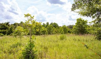2512 Beulah Church Rd, Alma, GA 31510