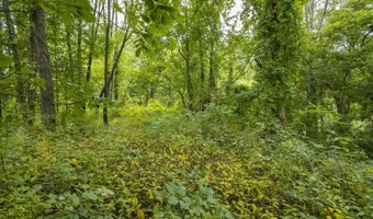 V/L 60th St Par C, Alto, MI 49302