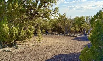 37 Co Rd N8174 10.1 Acres, Concho, AZ 85924