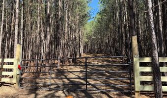 MOUNTAIN CUT RD lot D, Appomattox, VA 24522
