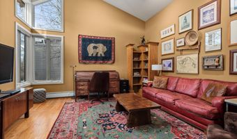 40 Mountain Laurel Ln, Aspen, CO 81611