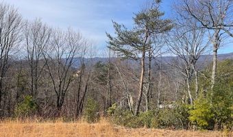 Lot 7 Serenity Ridge Trail, Andrews, NC 28901