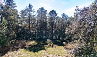 18129 SW 200TH St, Archer, FL 32618