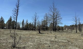 31763 Godowa Springs Rd, Beatty, OR 97621