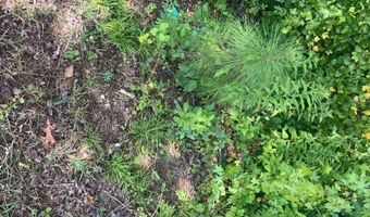 2061 Henry Scott Rd-LOT A 2.9 Acres, Ball Ground, GA 30107