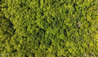 Beech Bluff Road, Beech Bluff, TN 38313