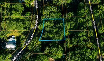 MULBERRY AVENUE, Anniston, AL 36201