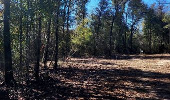 Tommy Tucker Road lot 3, Altha, FL 32421