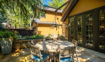 303 W Hopkins Ave, Aspen, CO 81611