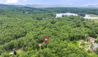42 Hawkins Pond Rd, Center Harbor, NH 03226
