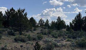 TL 300 HWY 140, Beatty, OR 97621