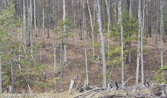 295 Shellstone Rd, Amsterdam, NY 12010