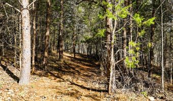 3097 Liberty Chapel Rd, Appomattox, VA 24522