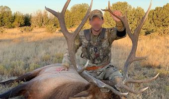 000 County Road 40.2 Country Cabin Lane Elk and Cattle, Branson, CO 81027