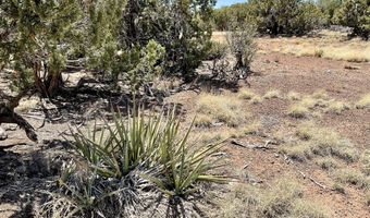 425 N 8051, Concho, AZ 85924