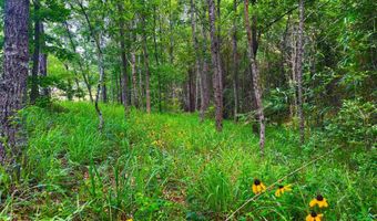 Arthur Drive, Brookhaven, MS 39601