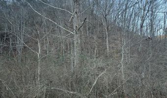 Highway 25E, Bean Station, TN 37708