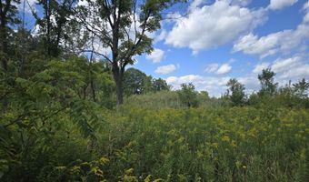 14296 Tubspring Vl, Allenton, MI 48002