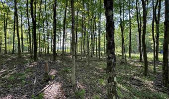 Parcel 5 N Bunner Ridge Road, Fairmont, WV 26554