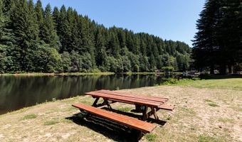 9956 BEACH Dr, Birkenfeld, OR 97016