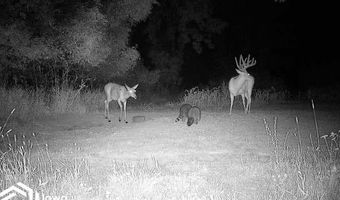 560 Th Ave, Albia, IA 52531