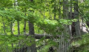 Tbd Wakeman Way, Banner Elk, NC 28604