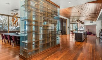 233 E Cooper Ave 301, Aspen, CO 81611