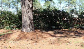 900 W South St, Ahoskie, NC 27910