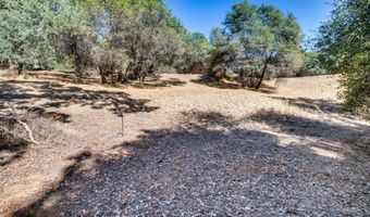 336 Catalpa Ln, Angels Camp, CA 95222