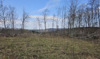 295 Shellstone Rd, Amsterdam, NY 12010