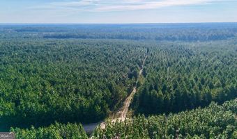 Penny Morris Road, Baxley, GA 31513