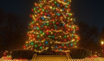 110 S Evergreen Ave 3BS, Arlington Heights, IL 60005