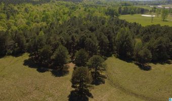 4820 COUNTY ROAD 22, Ashville, AL 35953