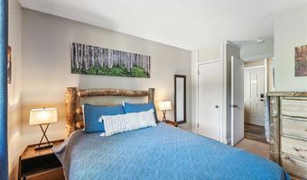 550 S FRENCH St 205, Breckenridge, CO 80424