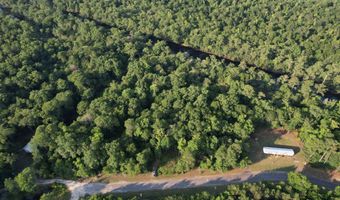0 80 Acres-TBD Cantley Landing Rd, Andrews, SC 29510