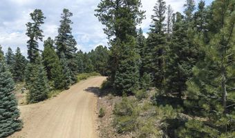 9 Buckskin Rd, Angel Fire, NM 87710